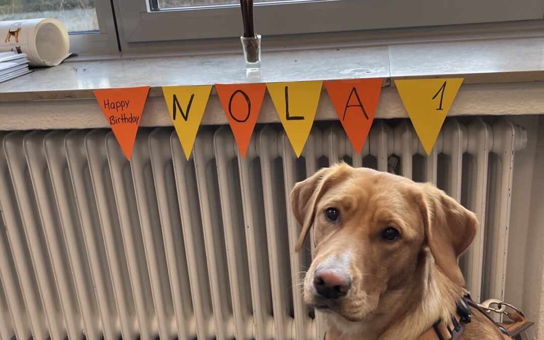 Unser Schulhund Nola – ein Herz auf vier Pfoten