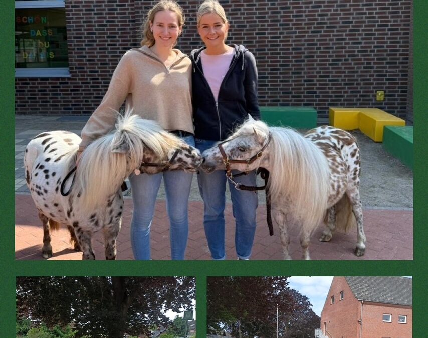 „Ich glaub’, da steht ein Pony auf dem Schulhof!“ Ein tierischer Besuch für die zweiten Klassen