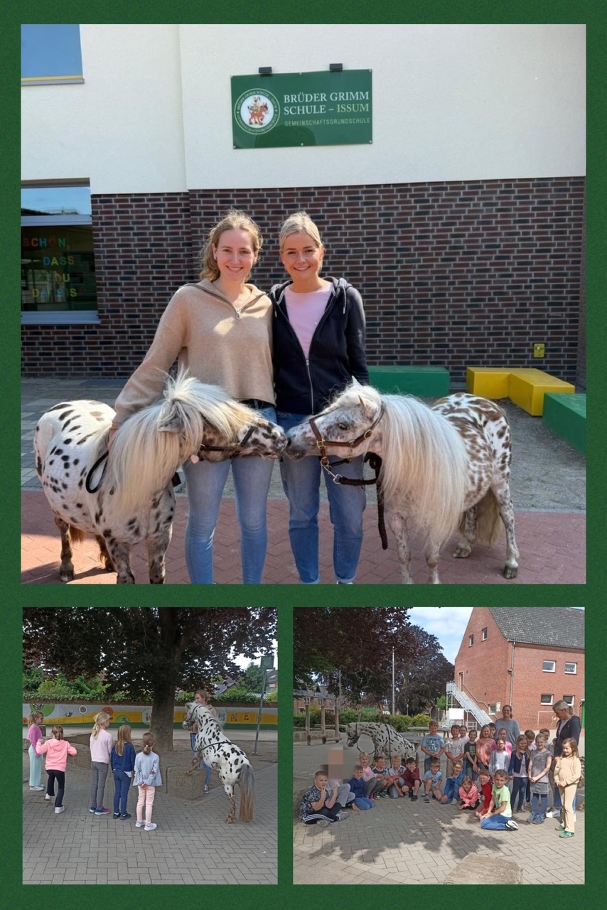 „Ich glaub’, da steht ein Pony auf dem Schulhof!“ Ein tierischer Besuch für die zweiten Klassen