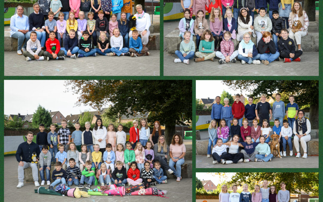 Die neuen Klassenfotos sind online!