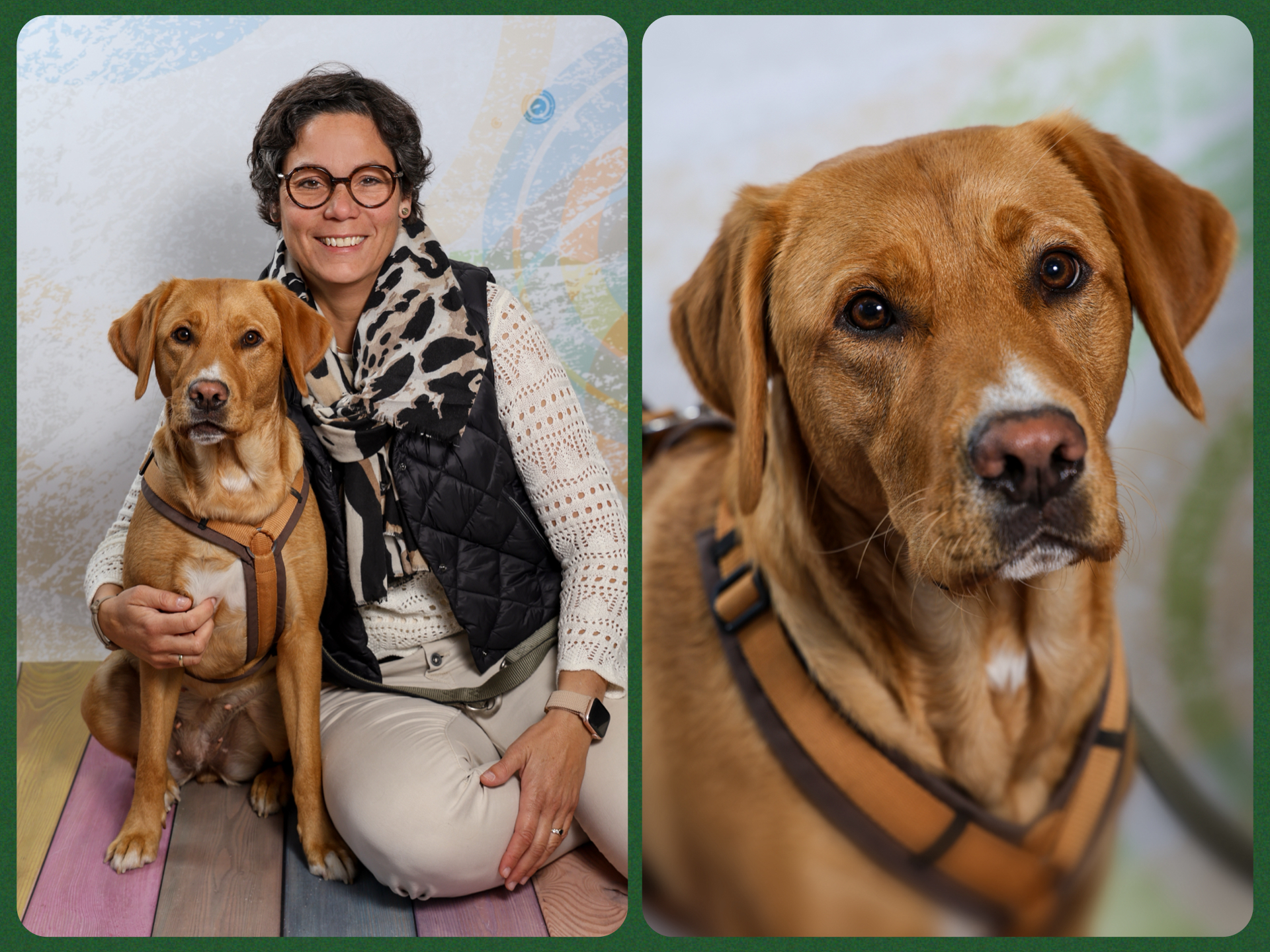 Schulhund_Nola_2025