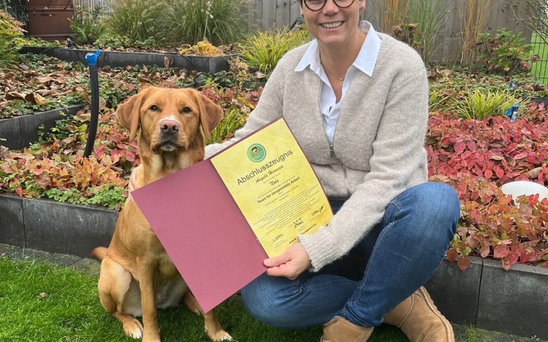 Unser Schulhund Nola hat die Abschlussprüfung bestanden!