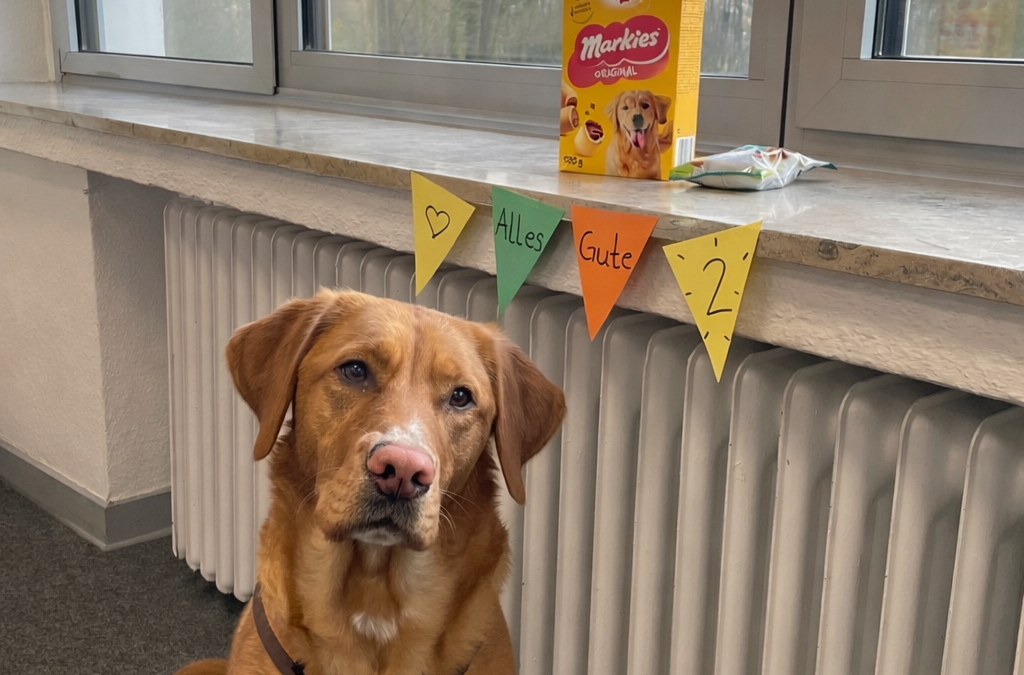 Nola feiert Geburtstag! 🎉🐾