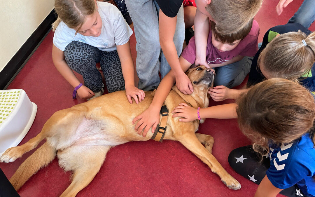 Nola zu Besuch in Klasse 3