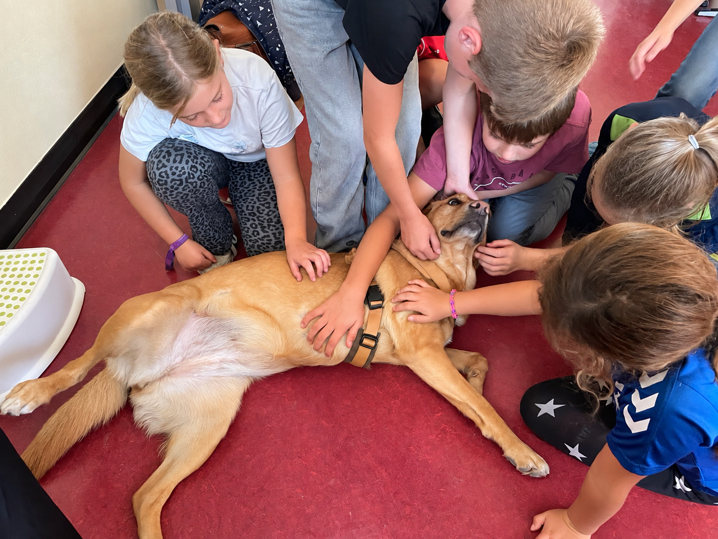 Nola zu Besuch in Klasse 3